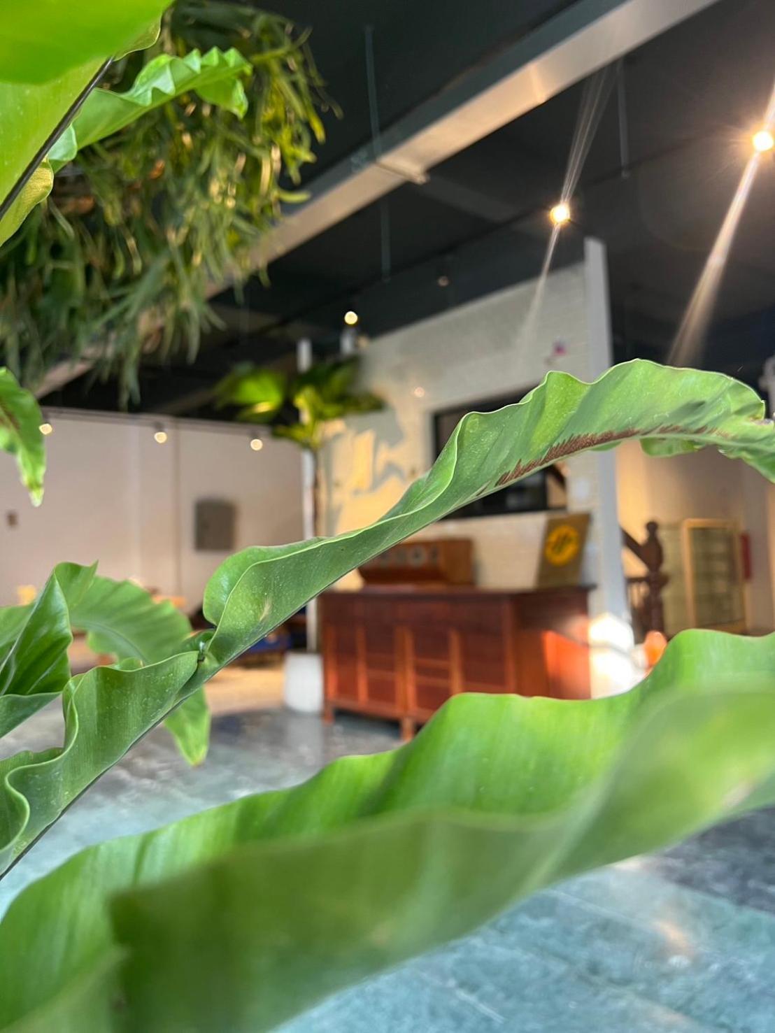 Yan Bin Hotel تاينان المظهر الخارجي الصورة